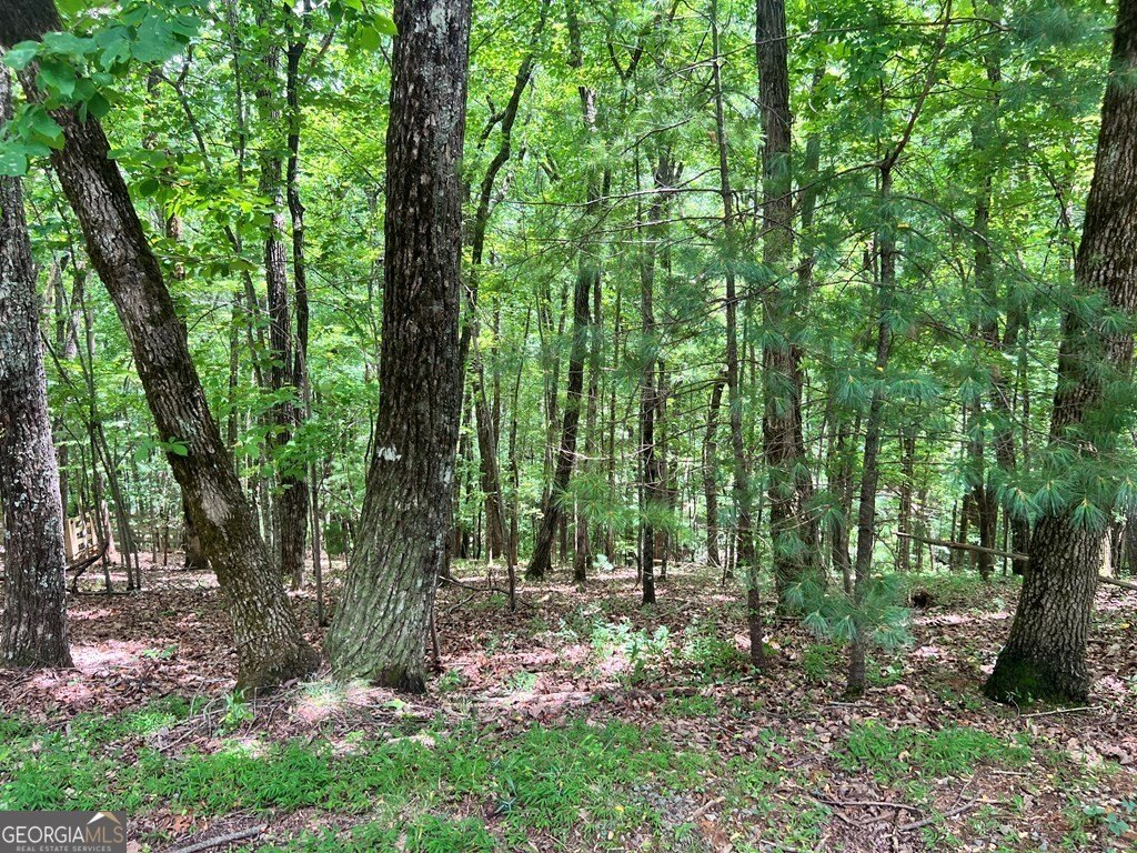 Picture 3