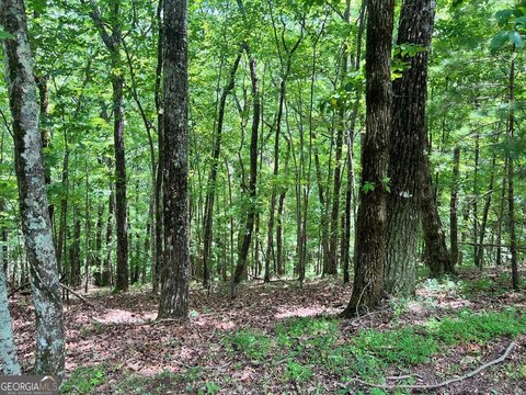 LAND - Ellijay, GA