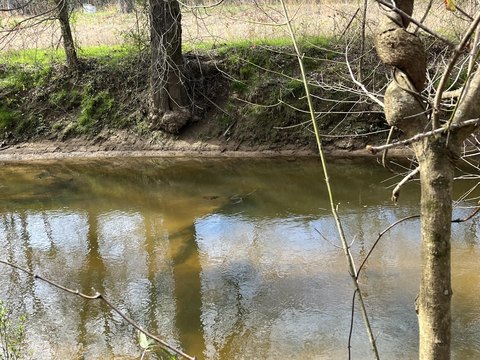LAND - Higdon, AL