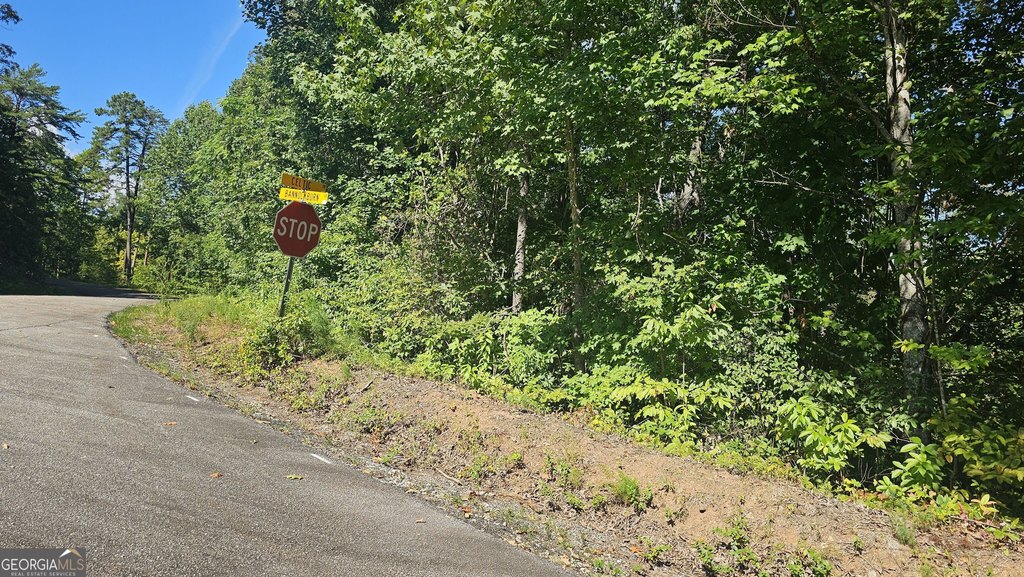 Picture 2