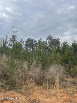 Calhoun City Hunting Land