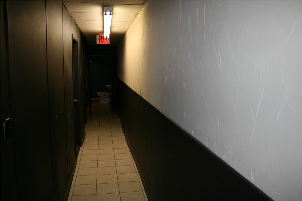 Picture 5