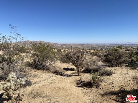 Joshua Tree Land with Views