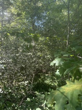 Land, Steuben, ME