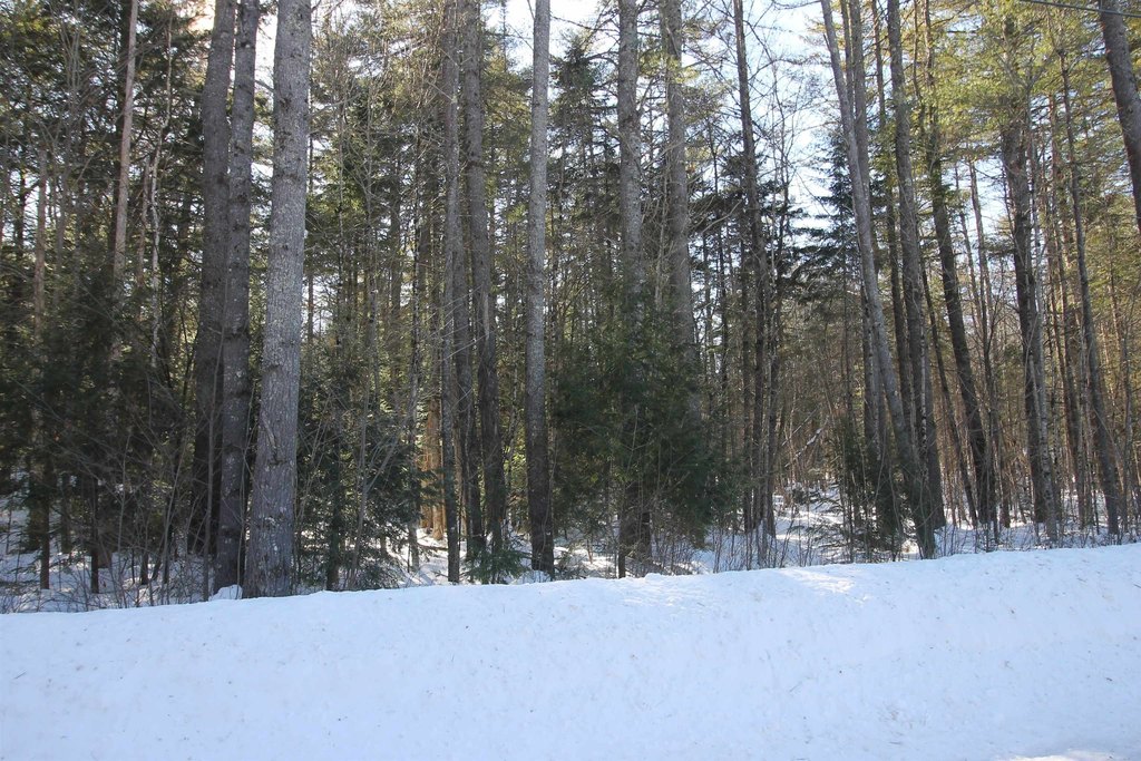 Picture 18