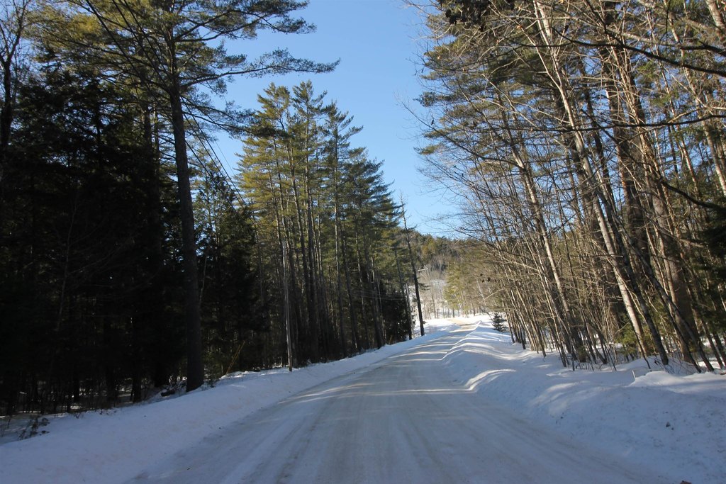 Picture 8
