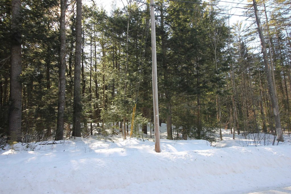 Picture 16