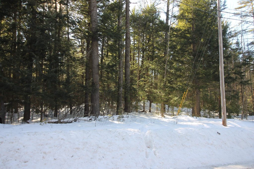 Picture 14
