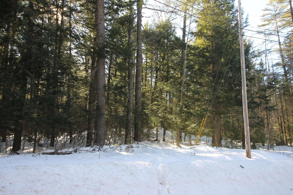 Picture 15