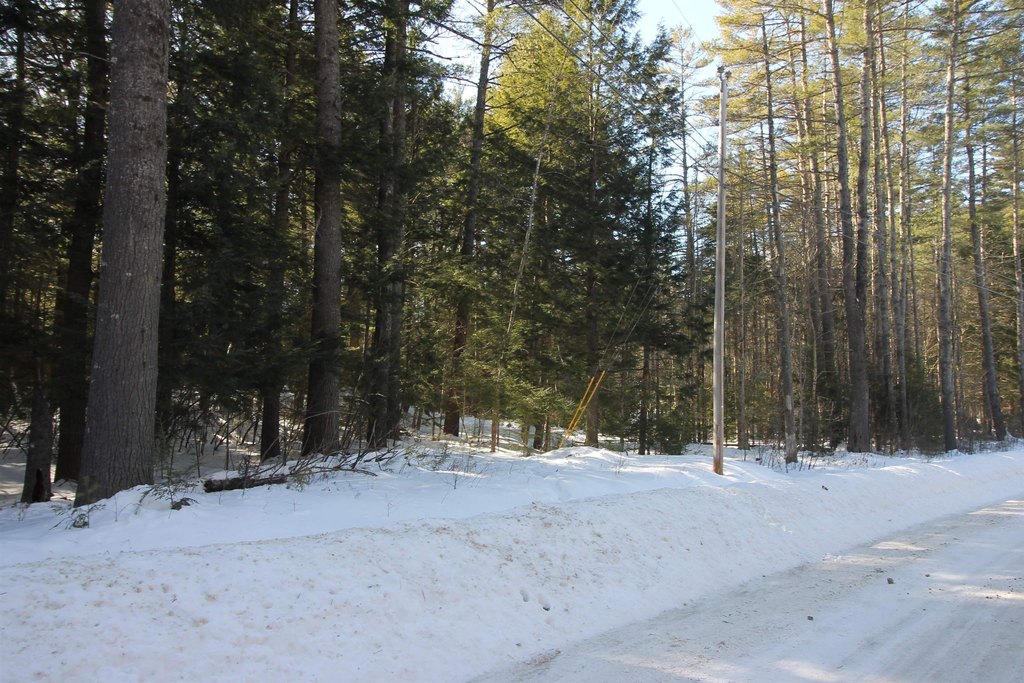 Picture 12