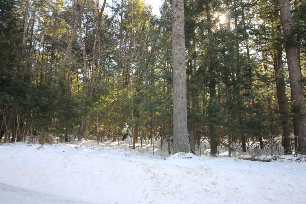 Picture 13