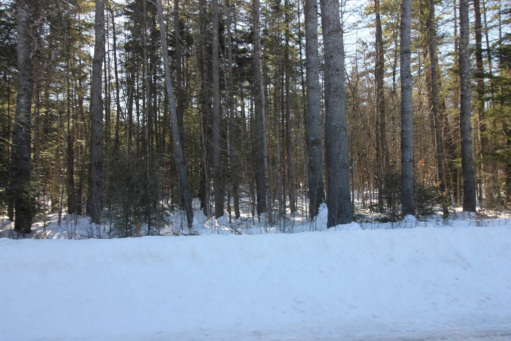 Picture 24