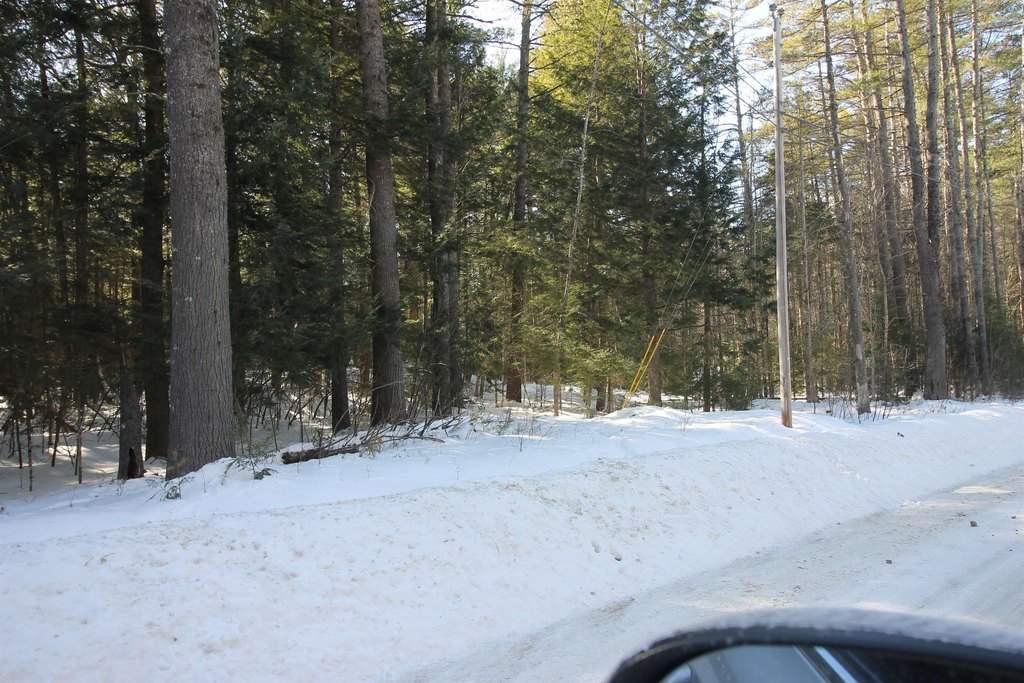 Picture 11