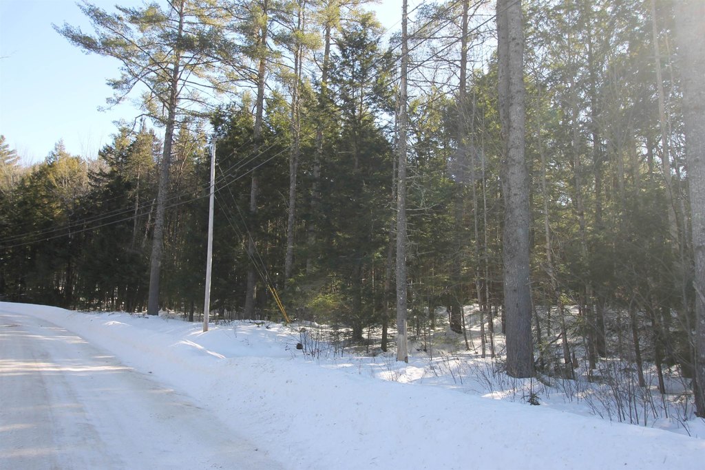 Picture 19