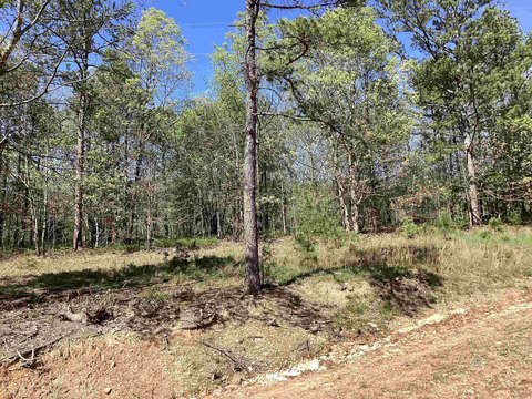 Land in Mena, Arkansas