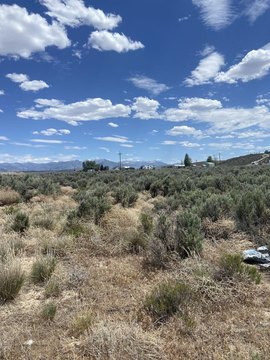 LAND - Spring Creek, NV