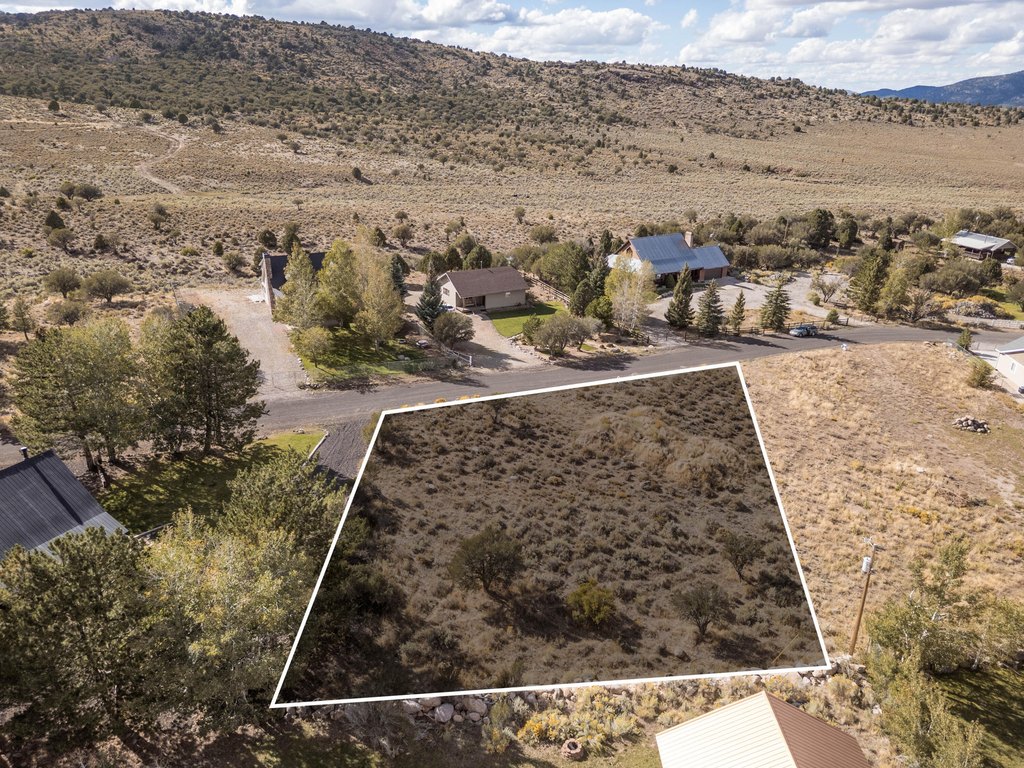 Picture 25