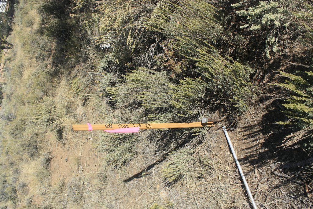 Picture 11