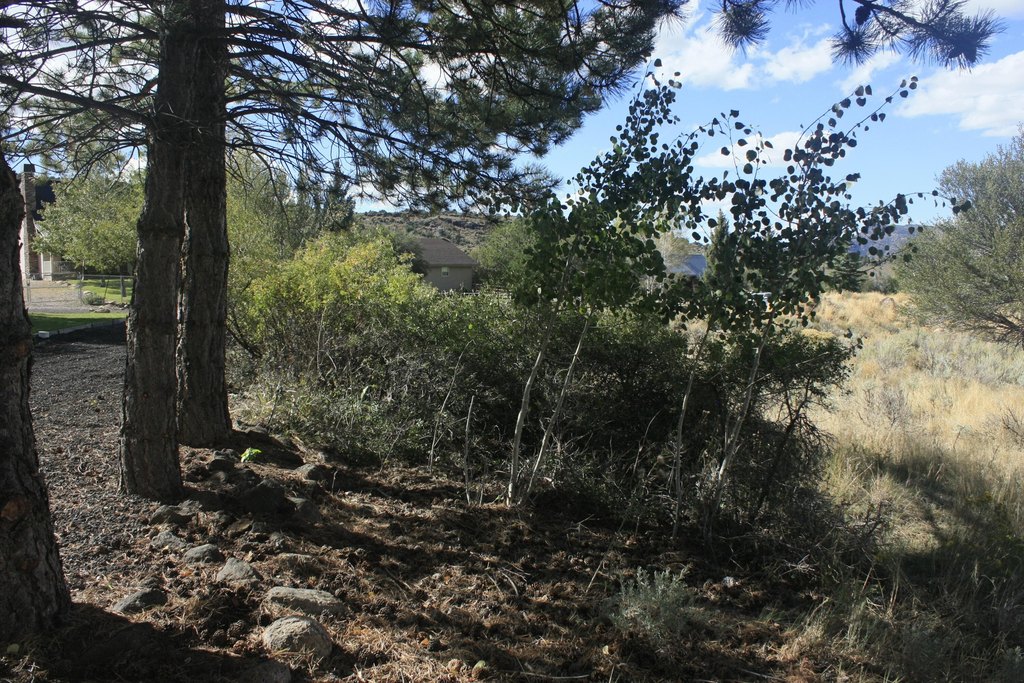 Picture 10