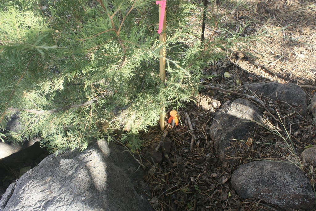 Picture 7
