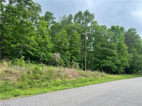 LAND - Dobson, NC