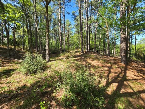 2.6 Acre Residential Lot