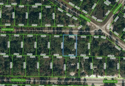 Residential Land in Lake Placid