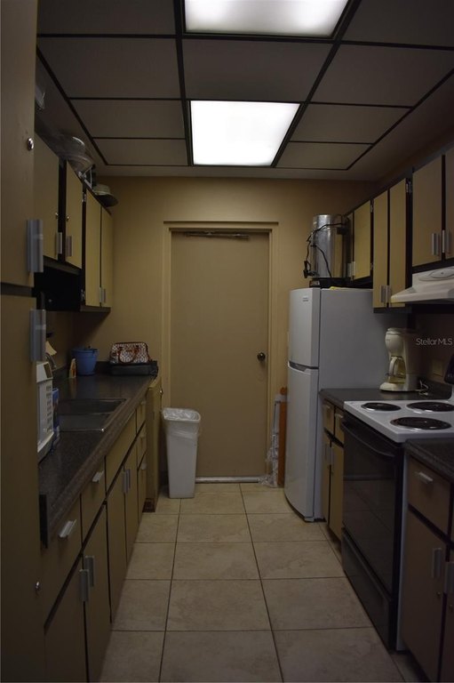 Picture 8