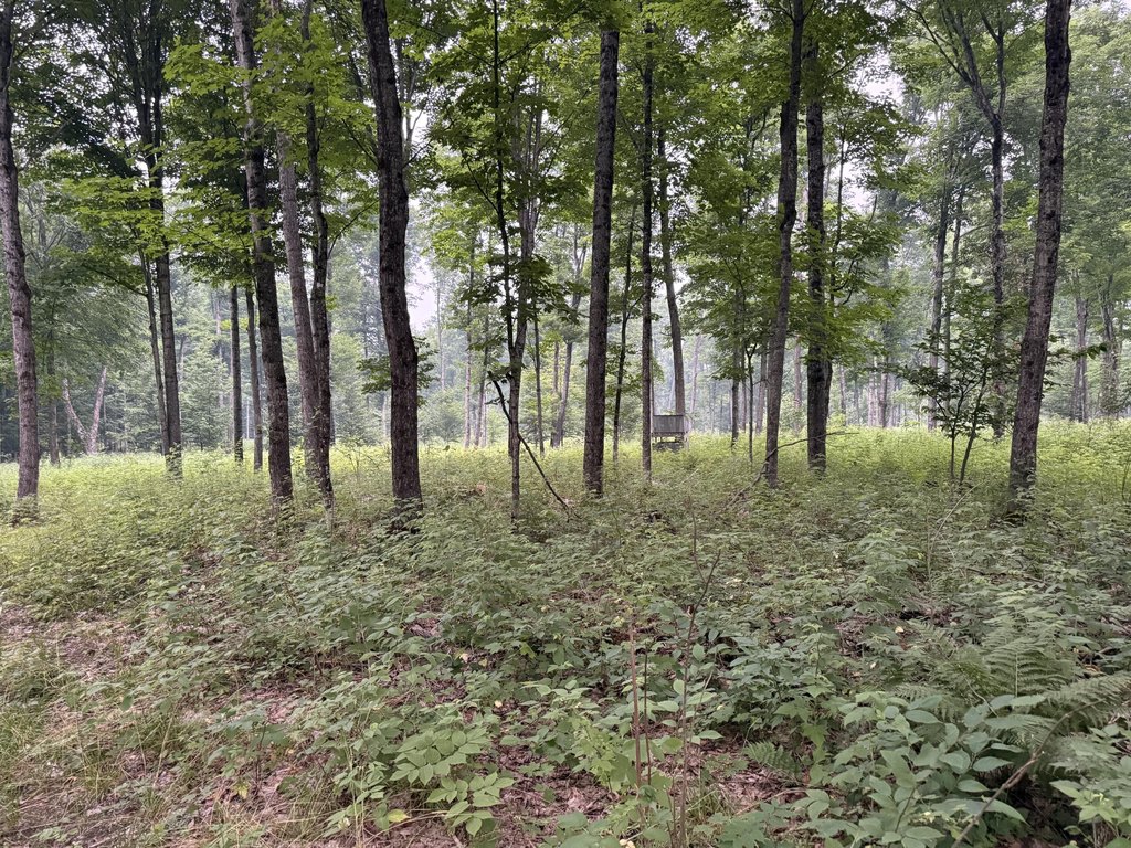 Picture 41