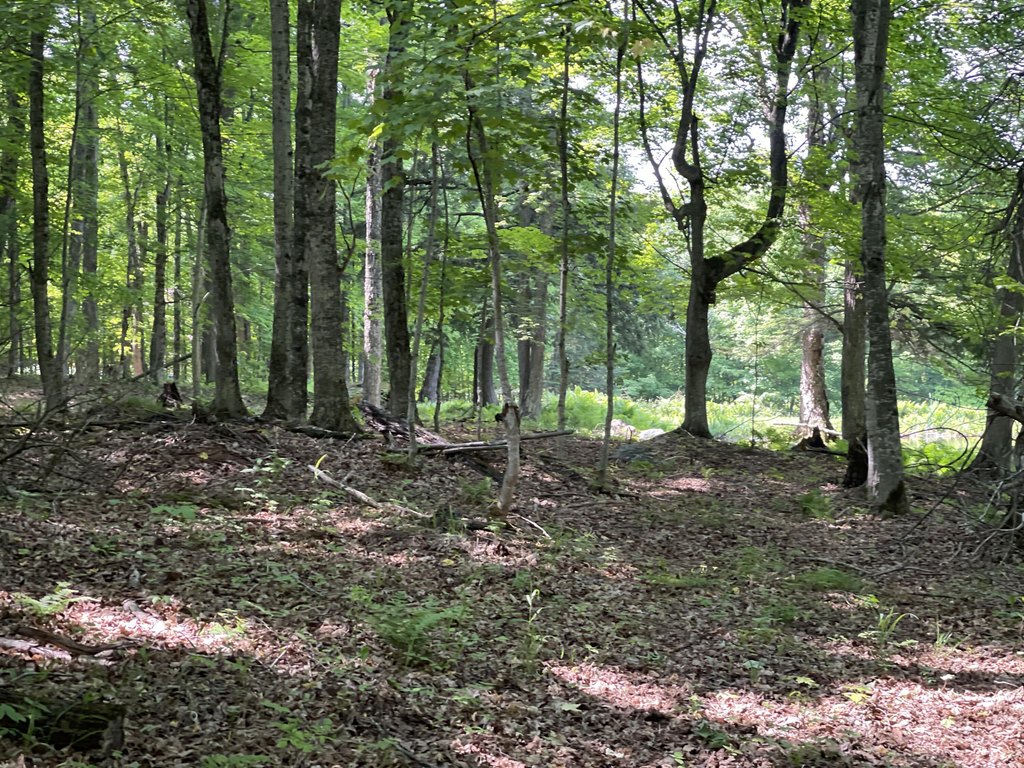 Picture 17