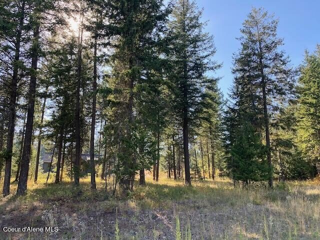 Rathdrum Land in Lost Creek