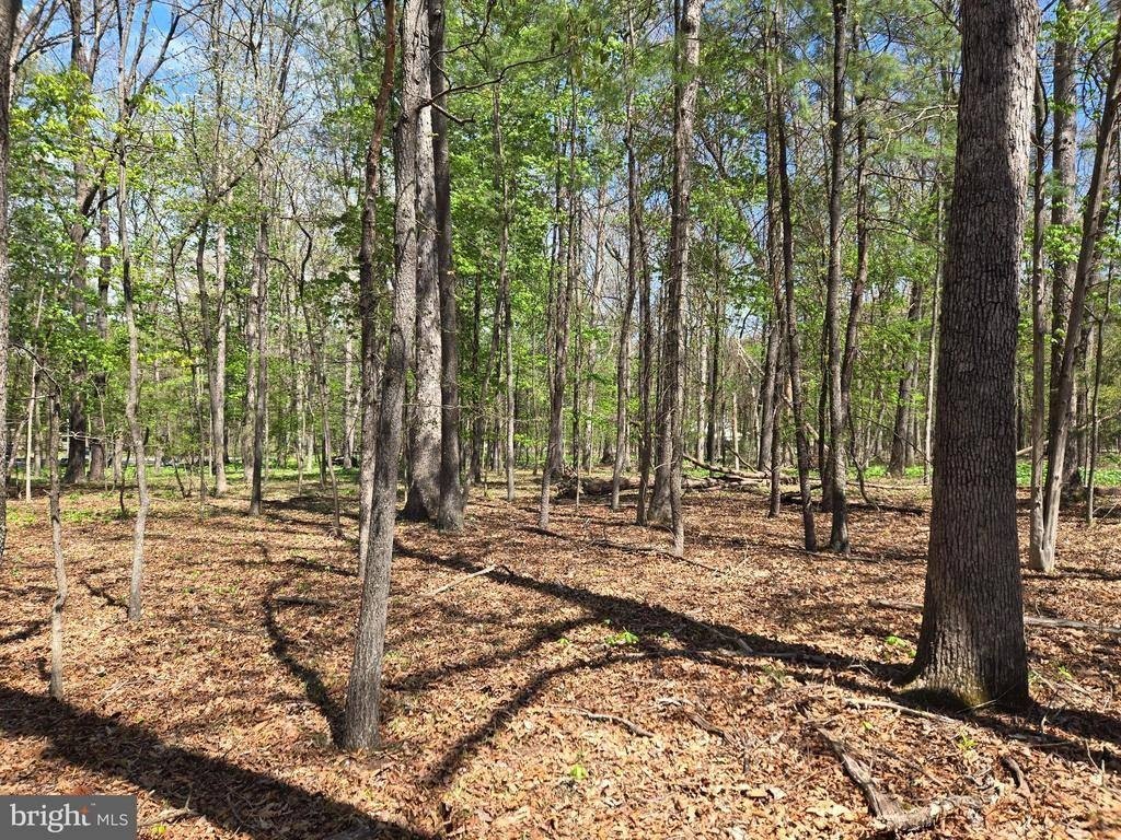 Picture 8