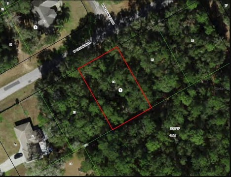 LAND - DUNNELLON, FL
