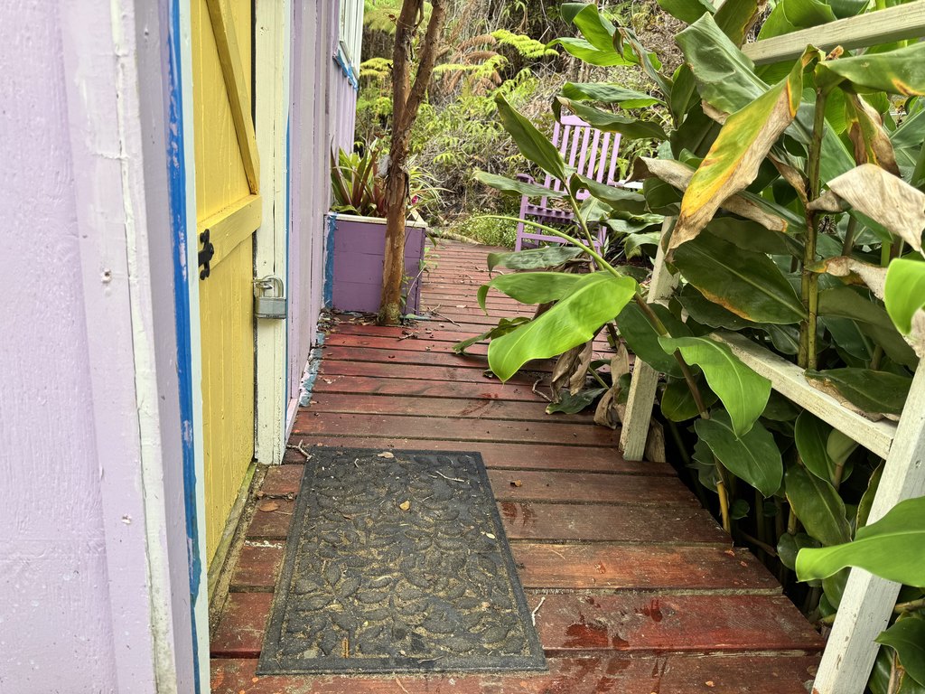 Picture 5