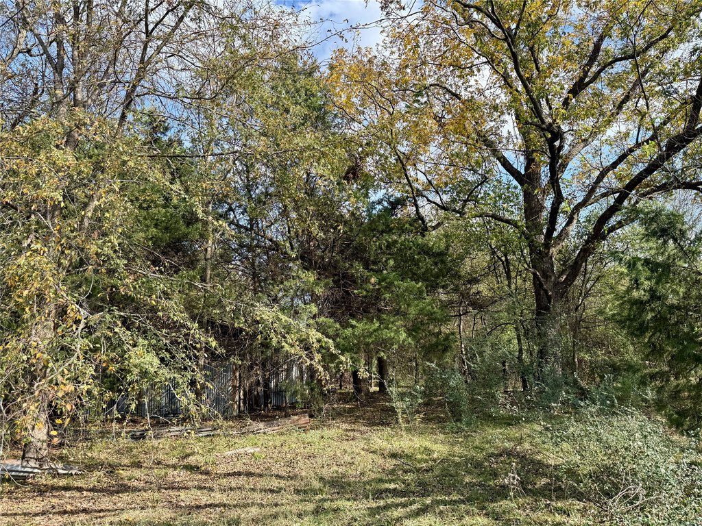 Picture 15