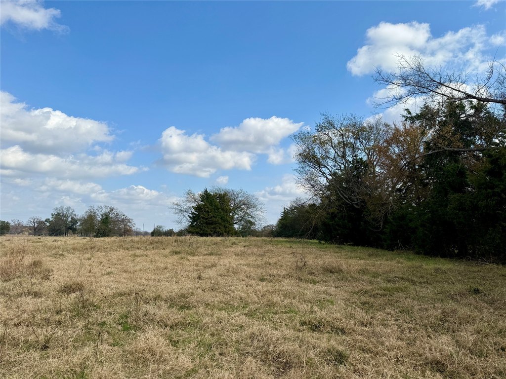 Picture 8