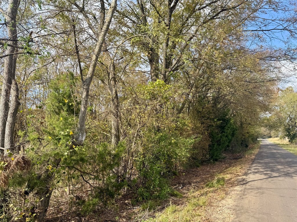 Picture 21