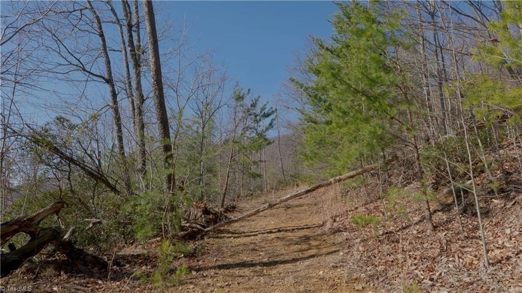 Picture 21
