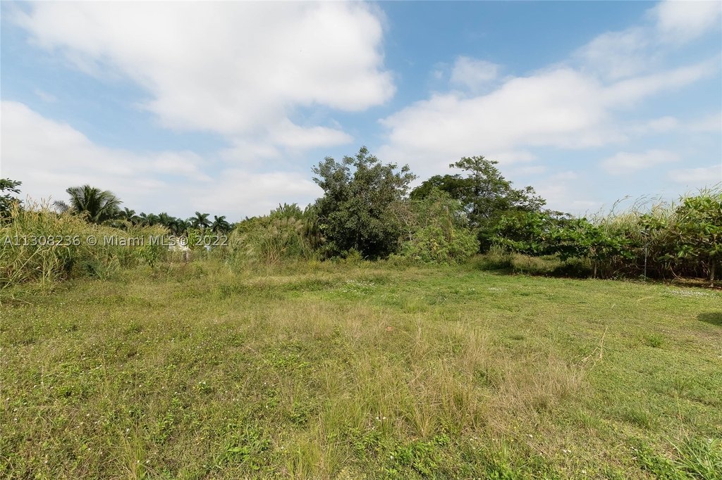 Picture 23