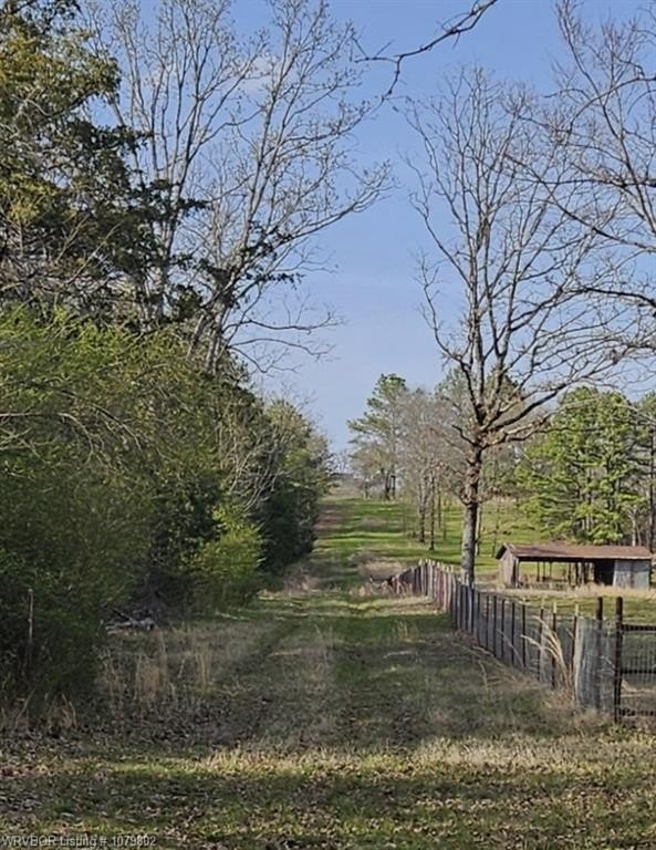 Picture 6