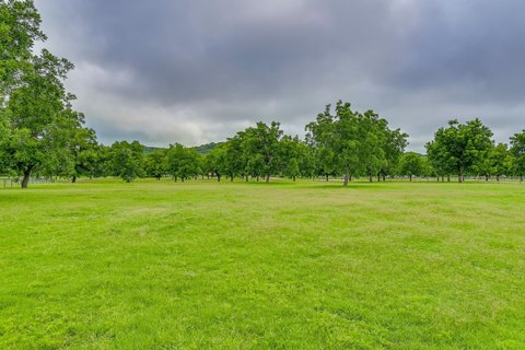 2-Acre Homesite with Pecan Trees