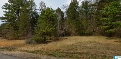 LAND - SPRINGVILLE, AL