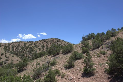 LAND - Placitas, NM