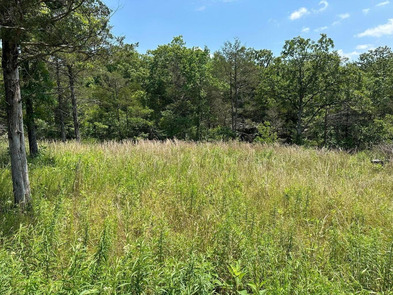 Residential Lot Near Table Rock