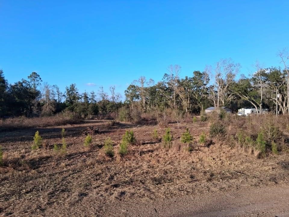 2.5 Acres Ready to Build