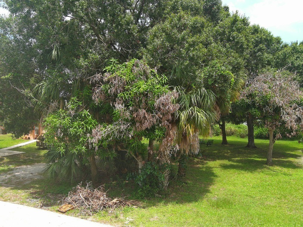 Picture 25