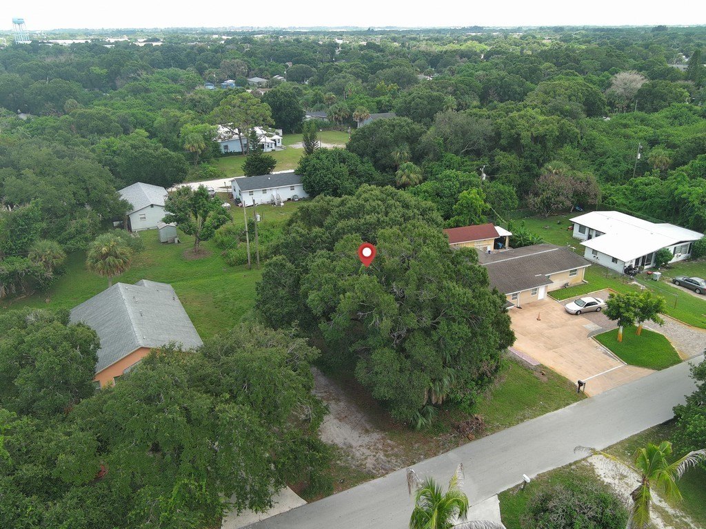 Picture 17