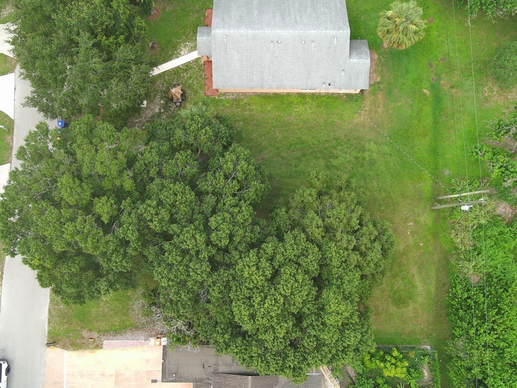 Picture 24
