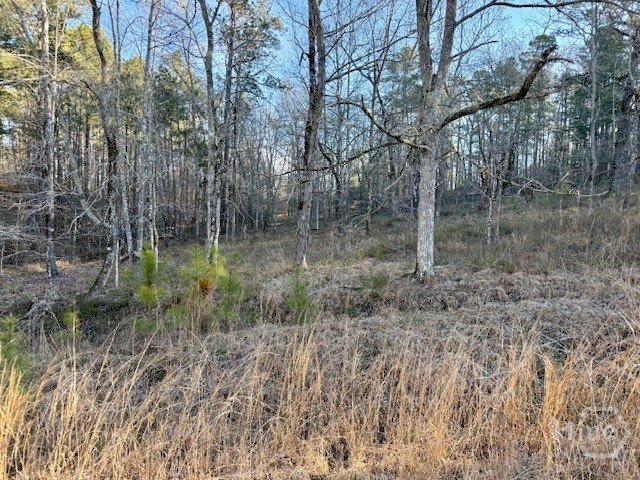 Lake Sinclair Acreage Opportunity
