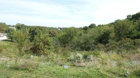 LAND - Branson, MO
